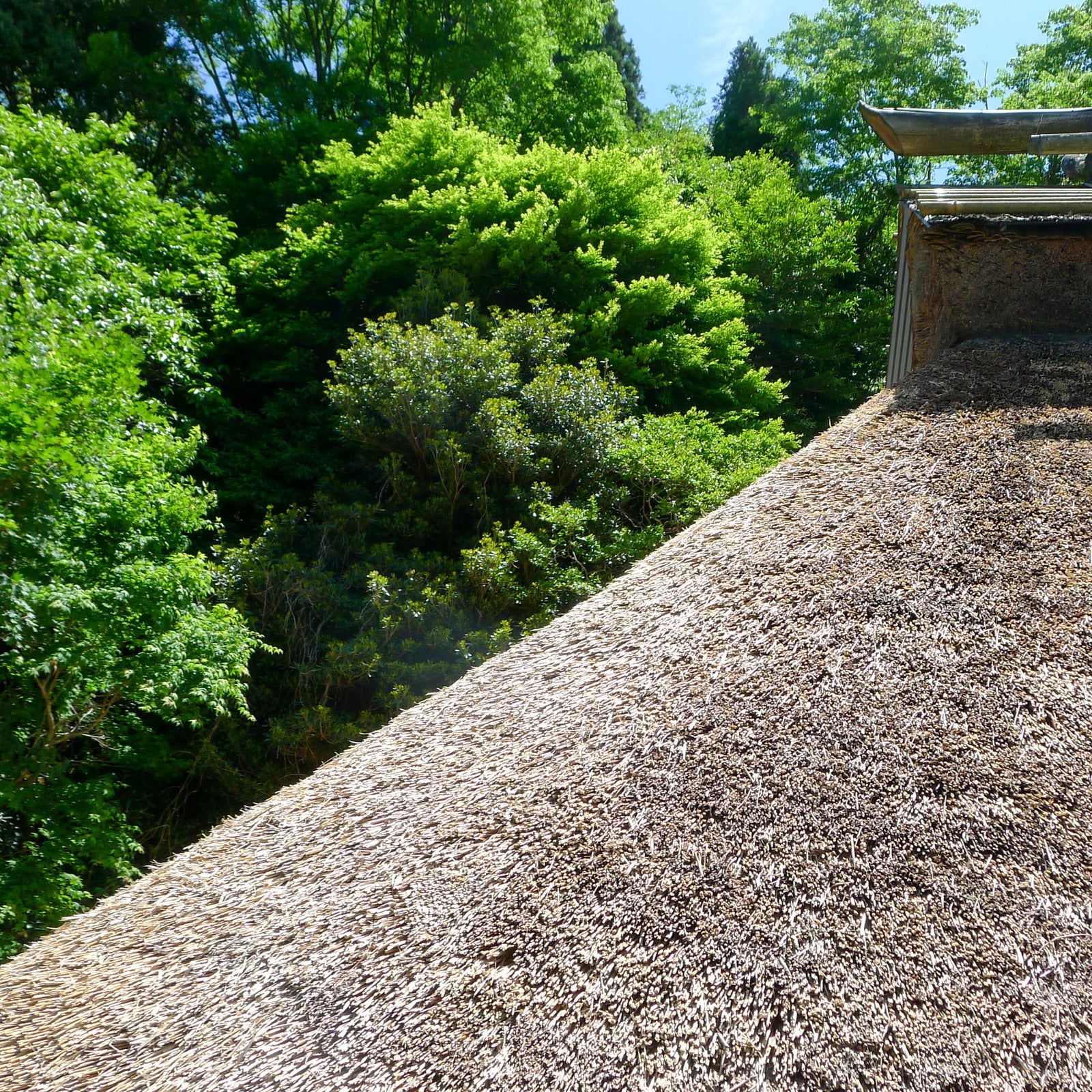 Traditional Style at the Takatori Family