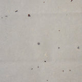 Kozo Paper Sample